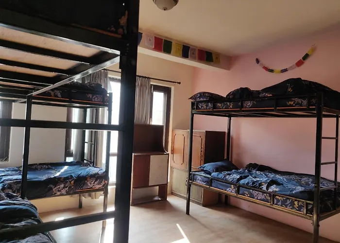 Pigeon Homestay Hostel *
